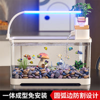 Desktop Ecological Oxygen-Generating Aquarium with Ancient Filtration System for Home Living Room