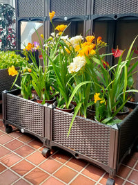 Rolling Raised Garden Bed Planter Box for Vegetables and Flowers, Large Rectangular Plastic Container for Balcony Patio Indoor Use