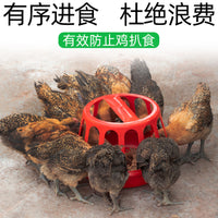 Chicken Feeder and Waterer Set for Poultry Coops