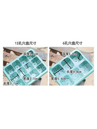 Seedling Starter Tray with Dome Lid - 12, 24, or 48 Cell Plant Germination Station for Succulents
