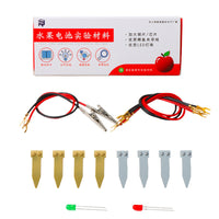 Fruit Battery Science Experiment Kit with Zinc and Copper Electrodes