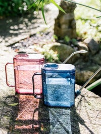 Long Spout Watering Can for Indoor Plants and Garden, Stainless Steel with Transparent Body