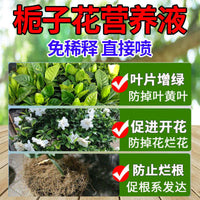 Gardenia Liquid Fertilizer for Acid-Loving Plants, Promotes Flowering and Prevents Yellow Leaves