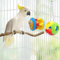 Bird Chew Toy Plastic Ball for Parrots and Small Birds, Sound-Making Cage Decoration