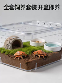 Hermit Crab Terrarium with Accessories - Transparent, Ventilated Habitat for Small Reptiles and Snails