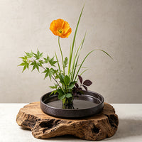 Japanese Wabi-Sabi Style Ceramic Flower Pot with Kenzan - Round Black Shallow Dish for Hydroponics & Home Decor