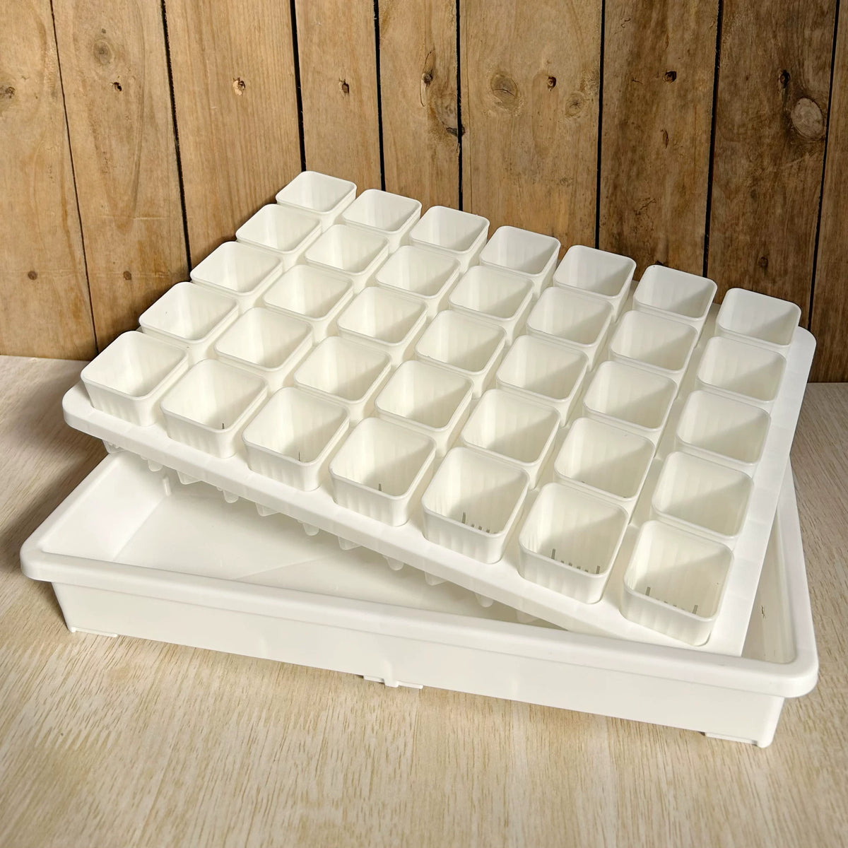 Mini Plastic Succulent Planter Tray with 35-Cell Seedling Holder for Balcony Gardening