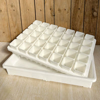 Mini Plastic Succulent Planter Tray with 35-Cell Seedling Holder for Balcony Gardening
