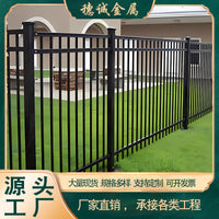 Zinc Steel Garden Fence Panel for Villas and Courtyards, Export Standard 304 Stainless Steel