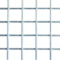 Galvanized Steel Wire Mesh for Pigeon Lofts and Enclosures