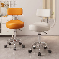 Adjustable Saddle Stool with Backrest for Kitchen, Salon, and Office