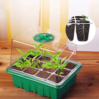 Seedling Starter Tray Kit with Humidity Dome - 12-Cell Plant Germination Station for Succulents