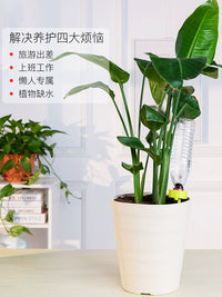 Adjustable Automatic Plant Watering Spikes for Potted Plants