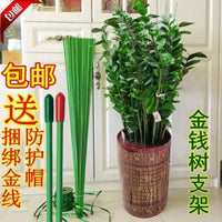 Plant Support Stakes for Climbing Vines, Potted Flowers, and Vegetables - 4mm Wire Garden Trellis
