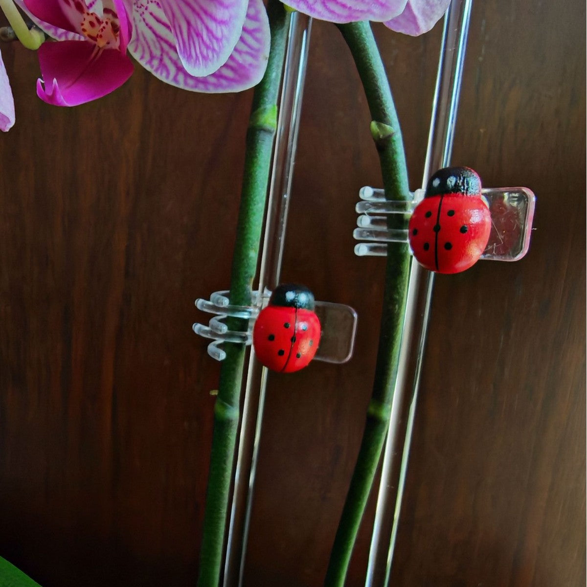 40cm Acrylic Plant Support Stakes with Clips for Orchids and Climbing Plants