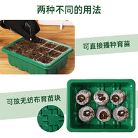 Seedling Starter Trays with LED Grow Lights, 5-Pack Thickened 6-Hole Plant Propagation Kits with Clear Dome Lids for Succulents, Roses