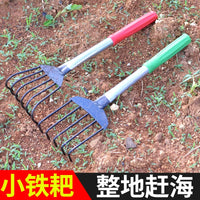 Seashell Clam Rake with Iron Handle for Beachcombing and Farming
