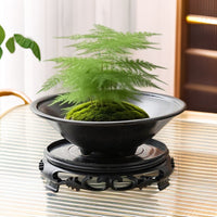 Moss Ball Planter Ceramic Hydroponic Pot for Bamboo and Office Decor