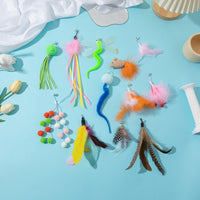 Cat Teaser Wand with Feather Refills and Extendable Rods