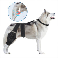 Pet Dog Rear Leg Brace Knee Support for Injury Recovery and Joint Protection