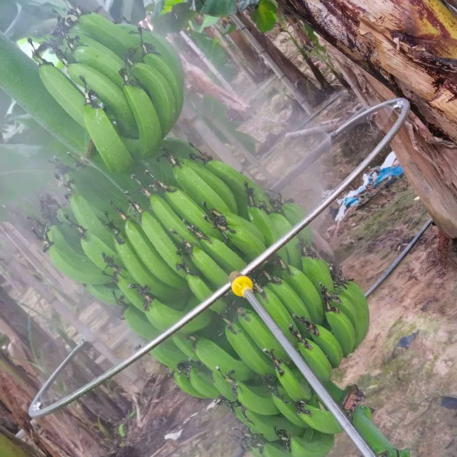 Ring Open Spray Nozzle for Fruit and Vegetable Irrigation