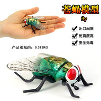 Insect Life Cycle Figurines Educational Toy Set