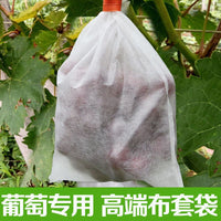Non-Woven Fruit Protection Bags for Orchards, Anti-Bird, Dust-Proof, Insect-Proof, Breathable