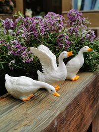 Outdoor Garden Pond Decor Drinking Duck Goose Figurines Patio Balcony Ornament