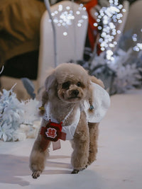Pet Wedding Ring Bearer Necklace Pouch for Dogs - Velvet Jewelry Bag for Proposals and Special Occasions