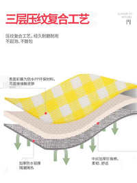 Outdoor Picnic Blanket Waterproof Camping Mat with Aluminum Film for Beach, Hiking, and Travel