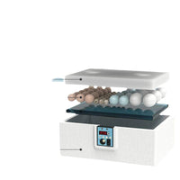 Automatic Egg Incubator for Home Use, Small Poultry Hatcher Machine for Chickens, Ducks, Geese