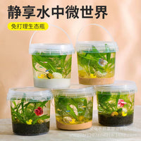 Transparent Portable Fish Tank for School Biology Micro-Landscape Eco-Bucket Food Grade Plastic Kids Ornamental Fish Bucket