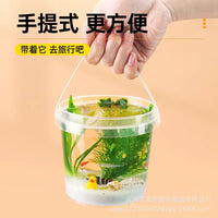 Thickened Clear Bucket with Lid and Handle for Fish, Turtle, and Outdoor Use