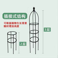 Climbing Plant Trellis for Clematis Roses Indoor Potted Plants