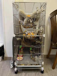 304 Stainless Steel Multi-Tier Pet Cage for Sugar Gliders, Squirrels, and Parrots