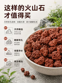 Volcanic Rock Aquarium Substrate for Fish Tank Landscaping and Filtration