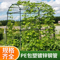 Garden Arch Trellis for Climbing Plants, Coated Steel Frame for Vegetables and Flowers