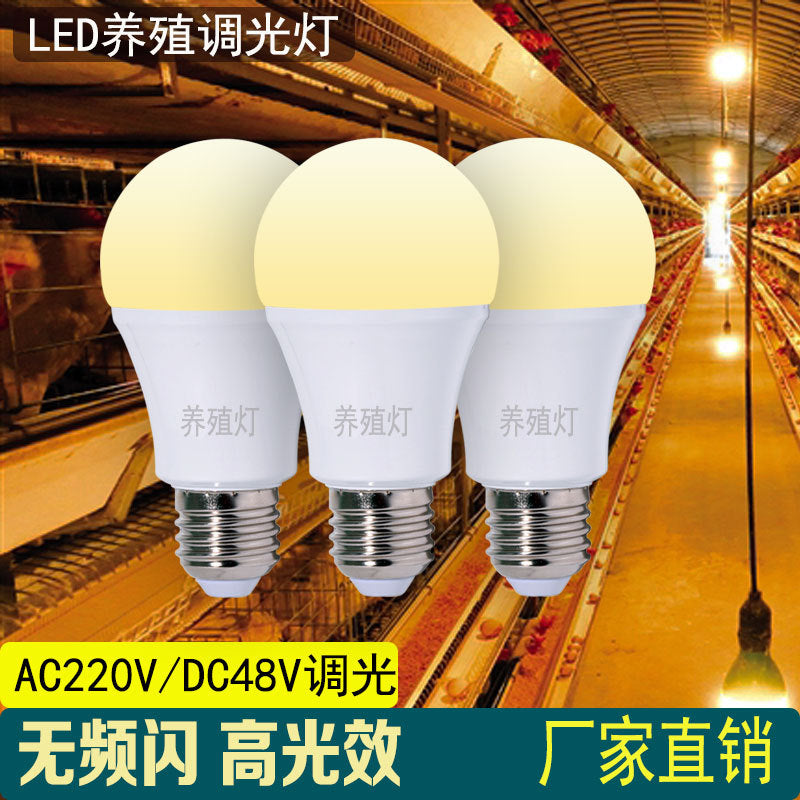 Dimmable LED Grow Light Bulb for Poultry Farms, DC48V/AC220V, Warm/Cool White