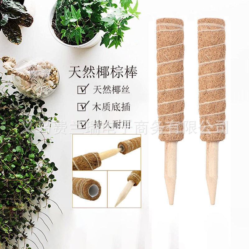 Coir Moss Pole for Climbing Plants, Monstera, Pothos, and Indoor Greenery Support