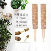 Coir Moss Pole for Climbing Plants, Monstera, Pothos, and Indoor Greenery Support