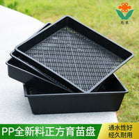 Square Succulent Seedling Tray Plastic Plant Pot Organizer