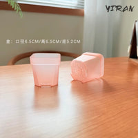 6.5cm Pink Translucent Succulent Planter Pot with Tray and Lid, Thickened PP Plastic Seedling Nursery Pot