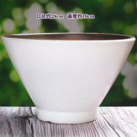 Nordic Style Ceramic Planter Pot for Indoor Plants