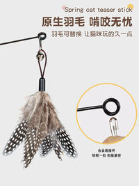 Cat Teaser Wand Toy with Feather Refills and Bell for Kittens and Cats