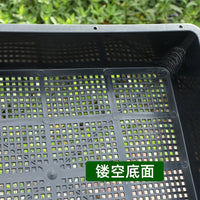 Thickened Rectangular Plastic Seedling Tray for Succulents and Rice Sprouts, Storage and Cultivation Box
