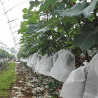 Non-Woven Fruit Protection Bags with Wire Tie for Grape Orchard Greenhouse