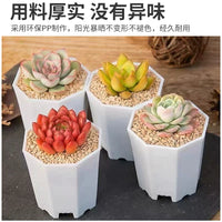 Thickened Octagonal Plastic Succulent Planter Pots for Home Gardening and Seedling Propagation