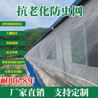 Heavy-Duty Anti-Aging Nylon Insect Netting for Farms and Greenhouses