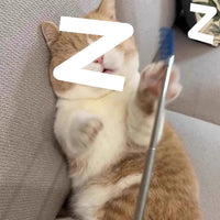 Retractable Cat Teaser Wand with Massager and Grooming Comb for Interactive Play and Scratching Relief