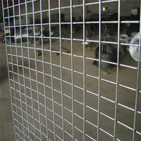 Galvanized Steel Wire Mesh for Pigeon Lofts and Enclosures